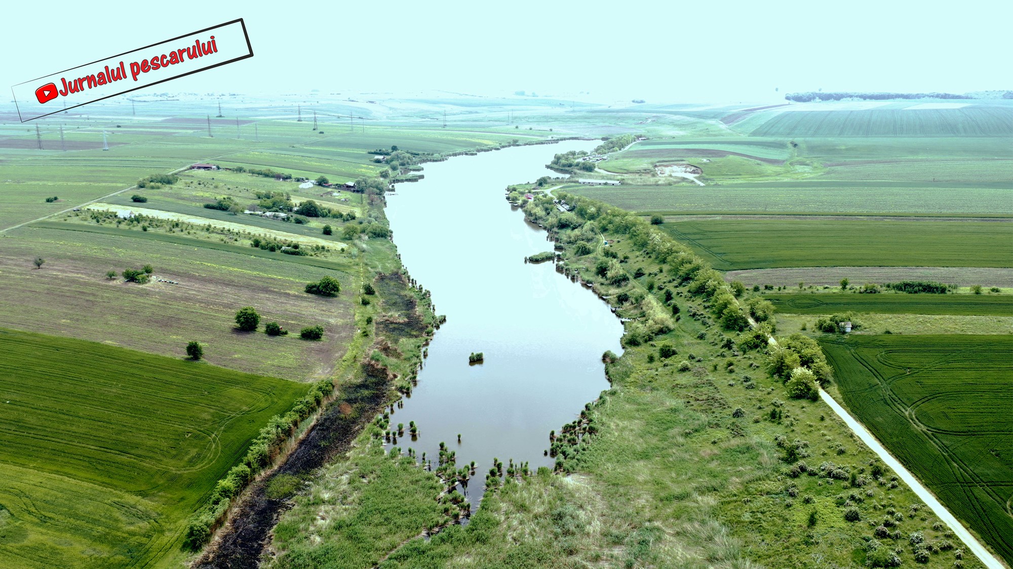 Balata LAZAR Alexandria  15 - 17 mai 2020 - 12.jpg